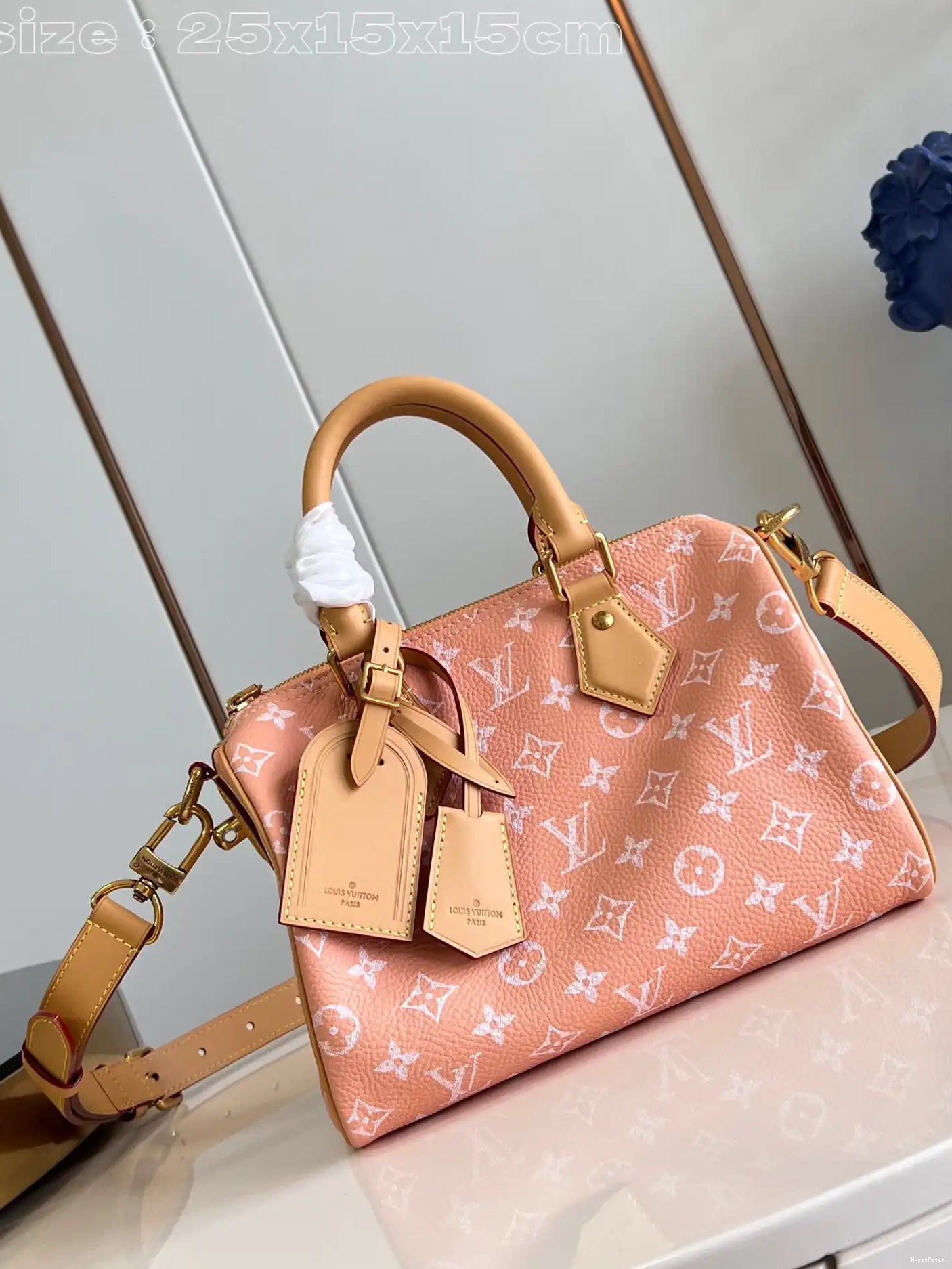 SPEEDY Louis Vuitton 25 0706